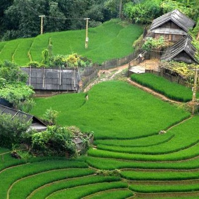3 Days Sapa Trekking 1