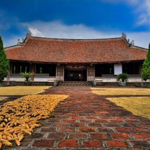 Duong Lam Ancient village 1 day tour