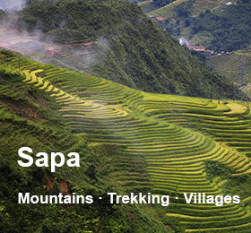 sapa
