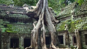 angkor 3
